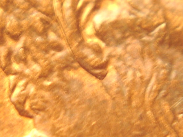 1997-P-1-Do--001-Doubled-Ear-Lobe